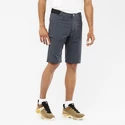 Moške kratke hlače Salomon  Wayfarer Shorts Ebony