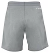 Moške kratke hlače Tecnifibre  Club Short Silver