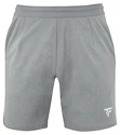 Moške kratke hlače Tecnifibre  Club Short Silver