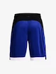 Moške kratke hlače Under Armour  BASELINE 10'' SHORT-BLU