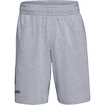 Moške kratke hlače Under Armour  COTTON BIG LOGO SHORTS gray