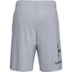 Moške kratke hlače Under Armour  COTTON BIG LOGO SHORTS gray