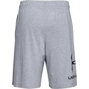 Moške kratke hlače Under Armour  COTTON BIG LOGO SHORTS gray