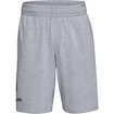 Moške kratke hlače Under Armour  COTTON BIG LOGO SHORTS gray XXL