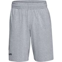 Moške kratke hlače Under Armour  COTTON BIG LOGO SHORTS gray XXL