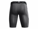 Moške kratke hlače Under Armour  HG Lng Shorts gray