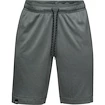 Moške kratke hlače Under Armour  Lighter Longer Short S