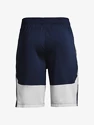 Moške kratke hlače Under Armour  Raid 2.0 Shorts-NVY