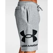 Moške kratke hlače Under Armour  Rival FLC Big Logo Shorts gray