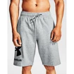 Moške kratke hlače Under Armour  Rival FLC Big Logo Shorts gray