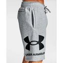 Moške kratke hlače Under Armour  Rival FLC Big Logo Shorts gray