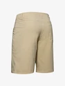 Moške kratke hlače Under Armour  Storm Fish Hunter Storm Short-BRN