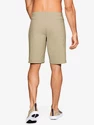 Moške kratke hlače Under Armour  Storm Fish Hunter Storm Short-BRN