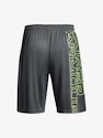 Moške kratke hlače Under Armour  Tech WM Graphic Short-GRY