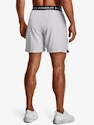 Moške kratke hlače Under Armour  Vanish Woven 6in Shorts-GRY