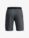 Moške kratke hlače Under Armour  Vanish Woven 8in Shorts-GRY