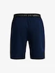 Moške kratke hlače Under Armour  Vanish Woven 8in Shorts-NVY