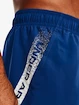 Moške kratke hlače Under Armour  Woven Graphic Shorts-BLU