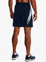 Moške kratke hlače Under Armour  Woven Graphic Shorts-NVY