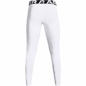 Moške pajkice Under Armour ColdGear Armour Leggings White