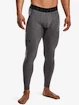 Moške pajkice Under Armour Leggings-GRY