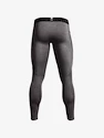 Moške pajkice Under Armour Leggings-GRY