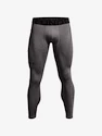 Moške pajkice Under Armour Leggings-GRY