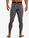 Moške pajkice Under Armour Leggings-GRY