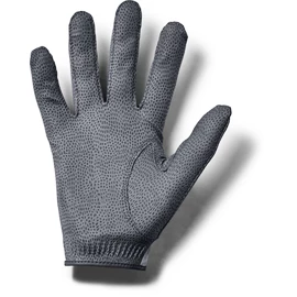 Moške rokavice Under Armour Storm Golf Gloves grey