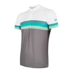 Moški kolesarski dres Sensor  Cyklo Summer Stripe Grey/Green