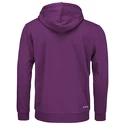 Moški pulover Head  Club Byron Hoodie Men LC