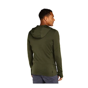 Moški pulover Icebreaker Merino 260 Quantum IV LS Zip Hoodie Loden