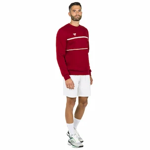 Moški pulover Tecnifibre  Club Sweater Cardinal XXL