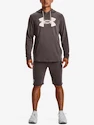 Moški pulover Under Armour  Rival Terry Logo Hoodie-BRN