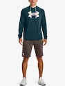 Moški pulover Under Armour  Rival Terry Logo Hoodie-GRN