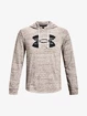 Moški pulover Under Armour  Rival Terry Logo Hoodie-WHT