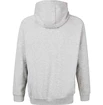 Moški pulover Virtus  Oralie Hoody grey