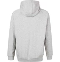 Moški pulover Virtus  Oralie Hoody grey