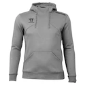 Moški pulover Warrior Alpha X Aspire Hoody Gray