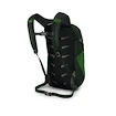 Nahrbtnik OSPREY Daylite green belt/green canopy