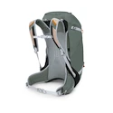 Nahrbtnik OSPREY Hikelite 32 II pine leaf green