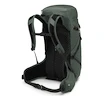 Nahrbtnik OSPREY Sportlite 30 pine leaf green