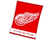 Odeja Official Merchandise  NHL Detroit Red Wings Essential 150x200 cm