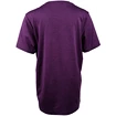 Otroška majica Endurance  Parbin Unisex Melange SS Tee Purple