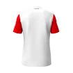 Otroška majica Head  CLUB 25 Tech T-Shirt Boys Red/White