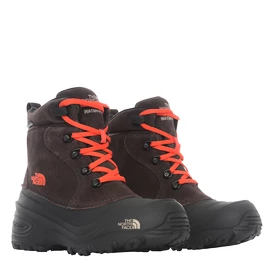 Otroška obutev za uporabo na prostem The North Face Chilkat Lace II Y