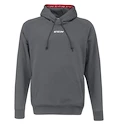 Otroški pulover CCM  Team Fleece Pullover Hoodie Dark Grey XS