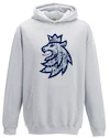 Otroški pulover Official Merchandise  Czech Hockey Lion Grey 5 - 6 let