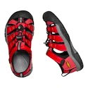 Otroški sandali Keen NEWPORT H2 Ribbon red/Gargoyle