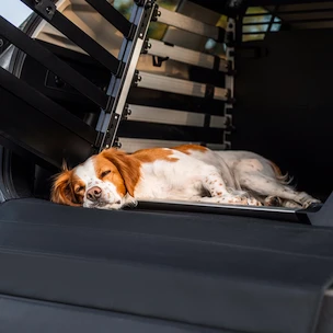 Podloga za transportno kletko Thule Allax Dog mat standard